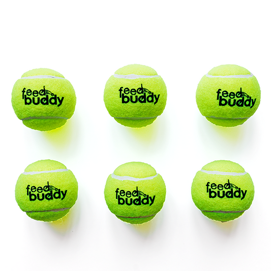 Premium Feed Buddy Tennis Balls x 6